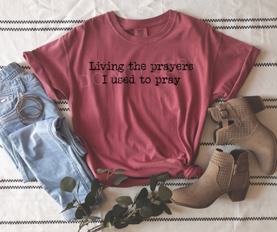 Living The Prayers I Used To Pray, brick (wholesale)